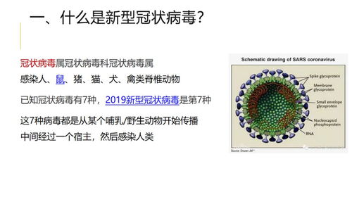 百人隔離敲警鐘 央企強(qiáng)化工程管理服務(wù)中的疫情防控體系建設(shè)